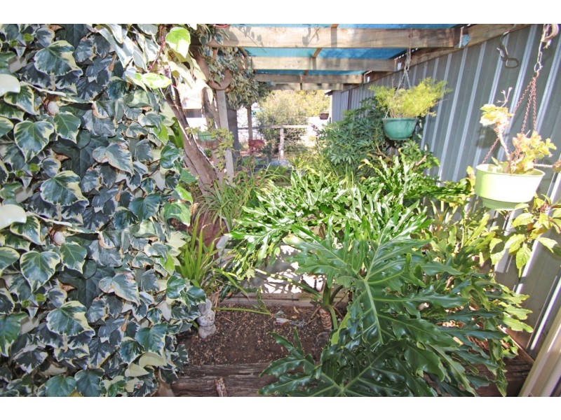 30 Pauline Street, Paringa SA 5340