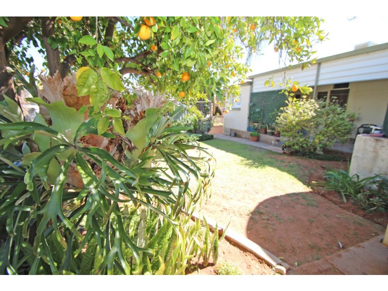 30 Pauline Street, Paringa SA 5340