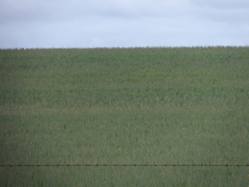 Sec 850 Gratwick Road, Loxton SA 5333