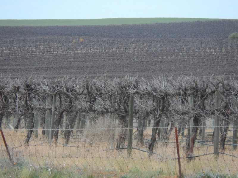 Sec 850 Gratwick Road, Loxton SA 5333