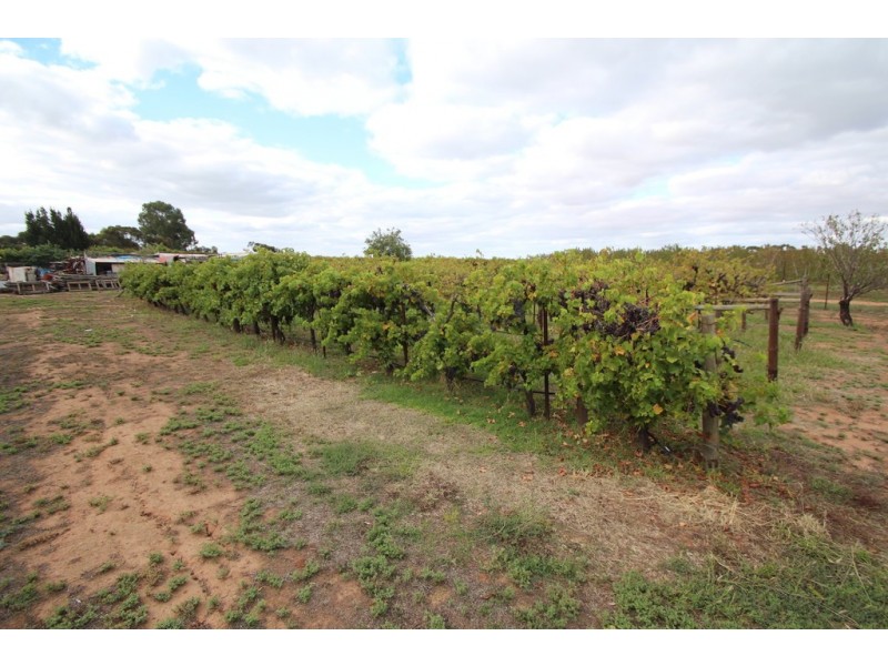 271 Kulkyne Street, Renmark SA 5341