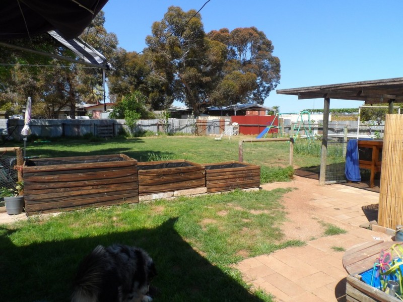 3 Borneo Street, Loxton SA 5333 Floorplan