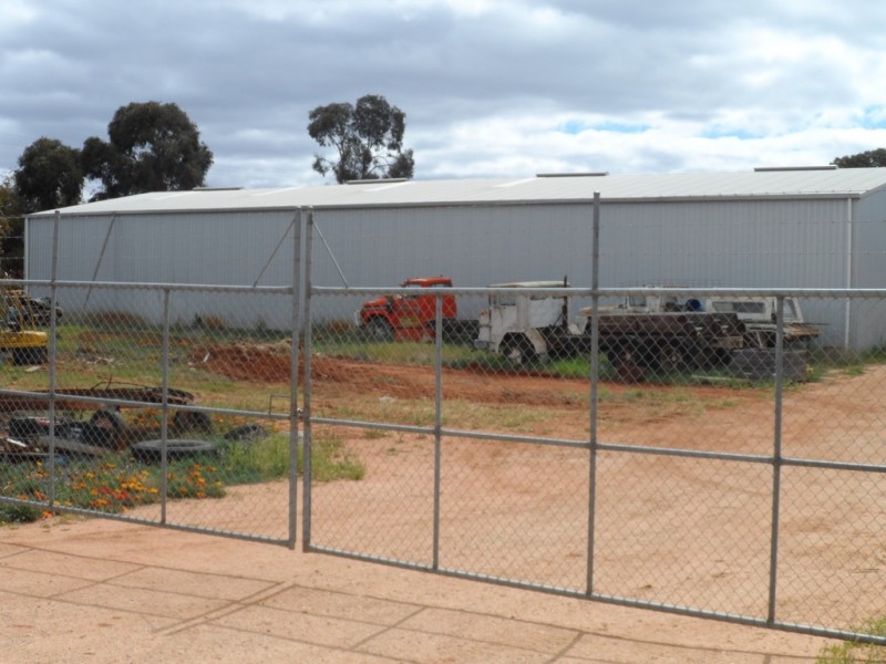 51 Trenerry Avenue, Loxton SA 5333