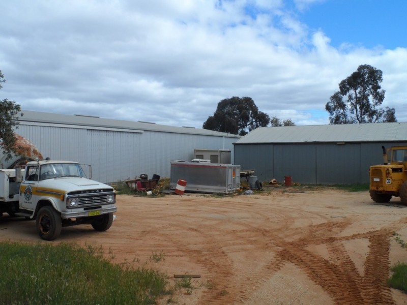 51 Trenerry Avenue, Loxton SA 5333