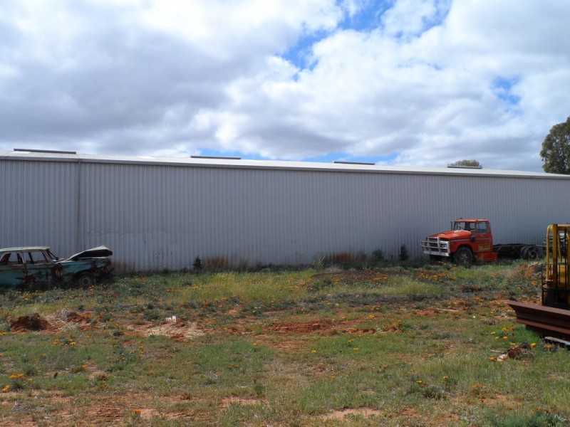 51 Trenerry Avenue, Loxton SA 5333