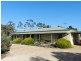 748 Thiele Road, Barmera SA 5345