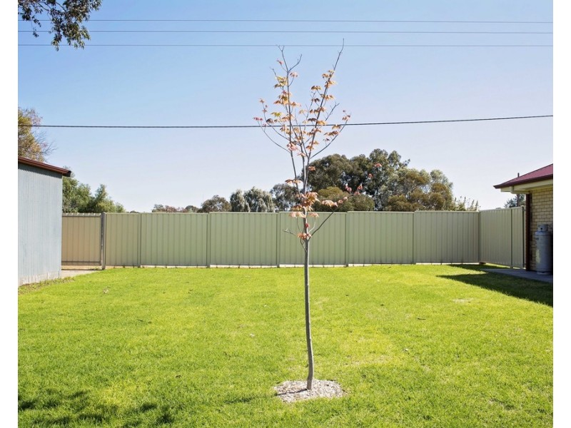 1 Aleppo Street, Loxton SA 5333
