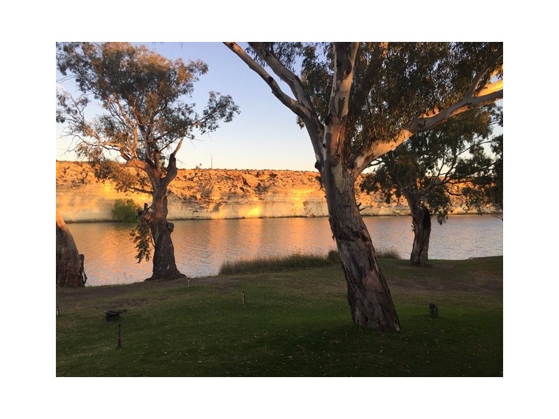 16 Pelican Point Road, Morgan SA 5320