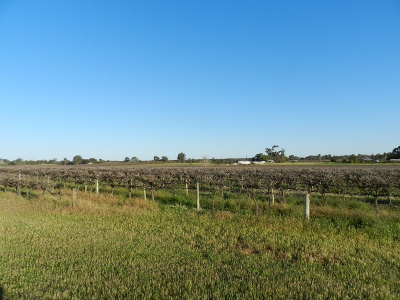 433 and 818 Hoffman Road, Loveday SA 5345