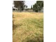 29 Colin Street, Loxton SA 5333
