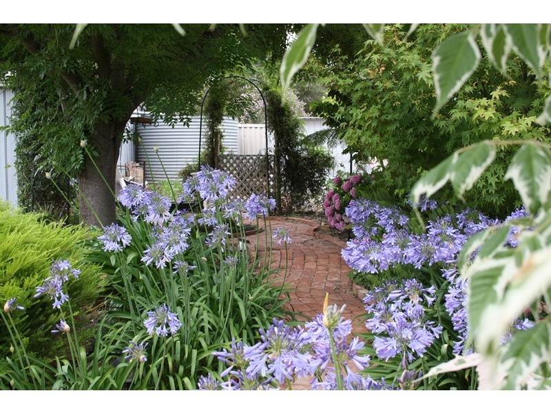 13 Harden Street, Waikerie SA 5330