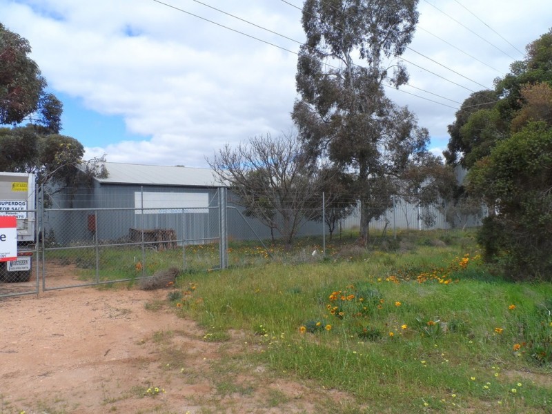 51 Trenerry Avenue, Loxton SA 5333