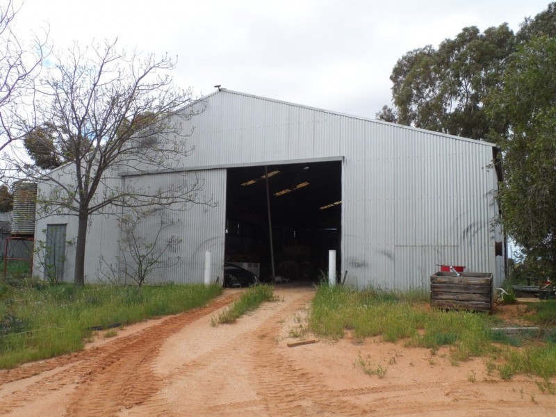 51 Trenerry Avenue, Loxton SA 5333