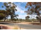 41 Railway Terrace, Paringa SA 5340