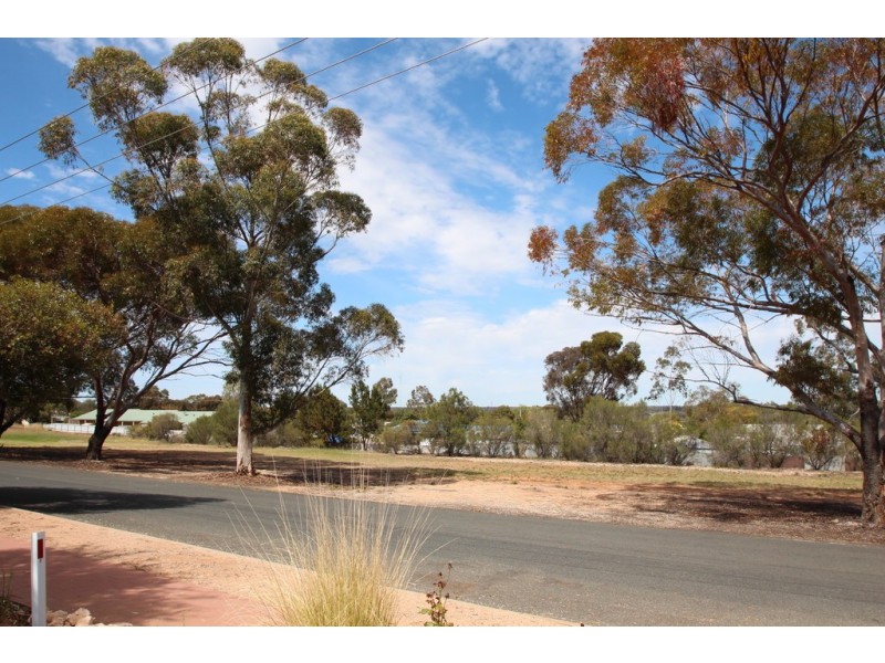 41 Railway Terrace, Paringa SA 5340
