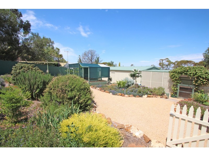 4 Elenore Avenue, Paringa SA 5340