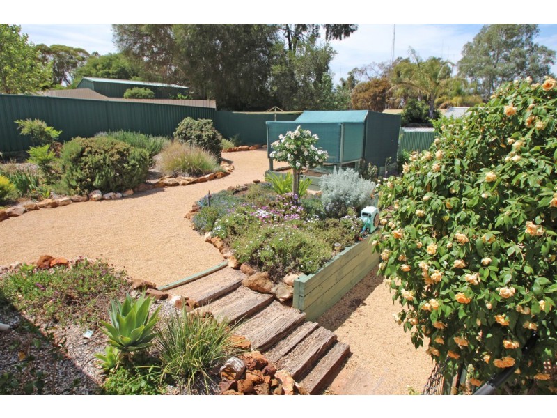 4 Elenore Avenue, Paringa SA 5340