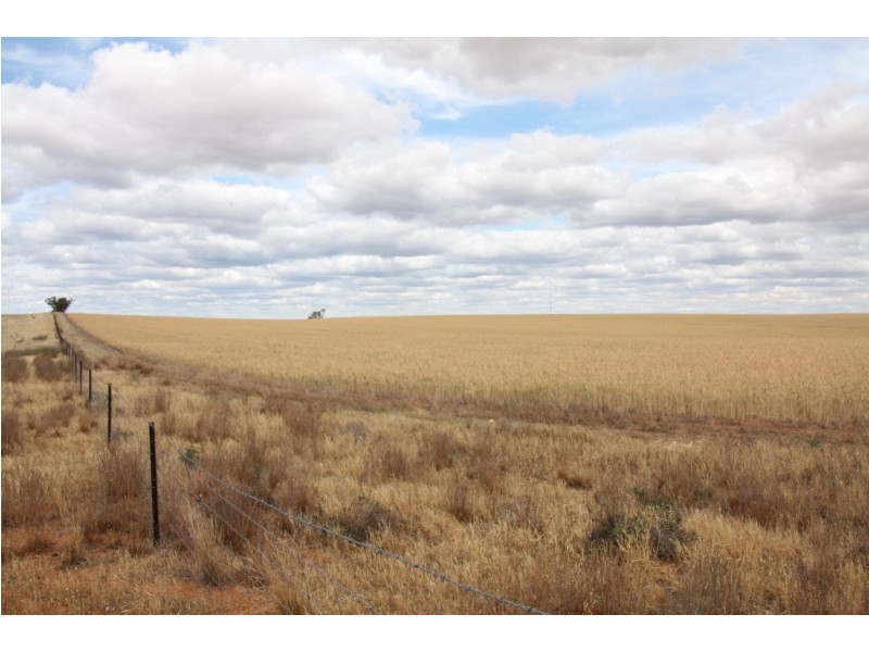 367 Viney Road, Meribah SA 5311