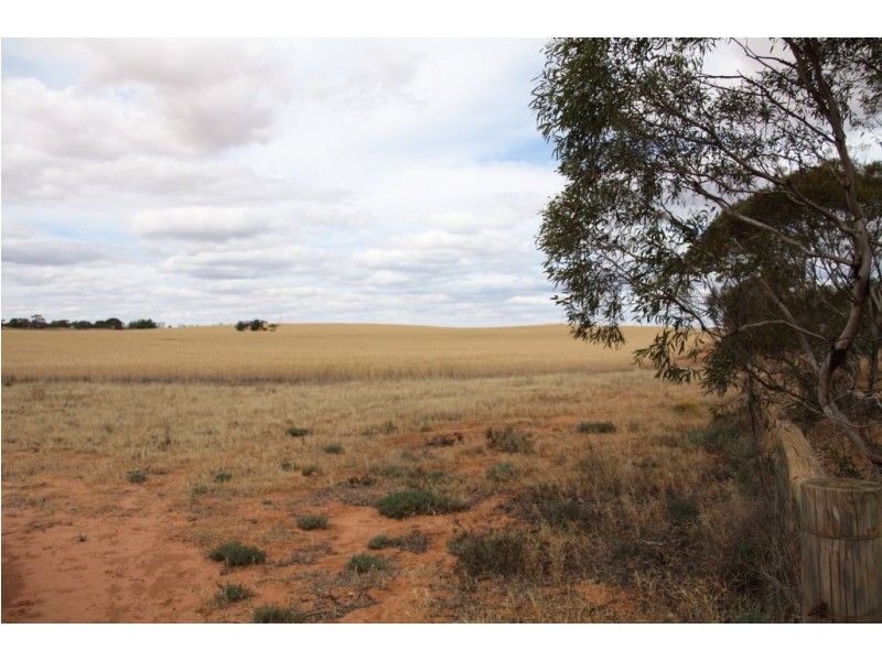 367 Viney Road, Meribah SA 5311