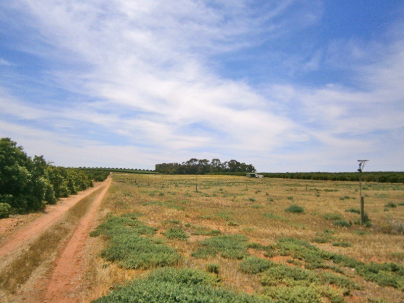 Lot 20 Playford Road, Sunlands SA 5322