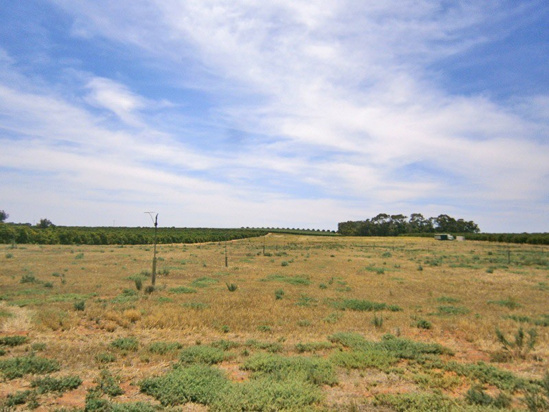 Lot 20 Playford Road, Sunlands SA 5322