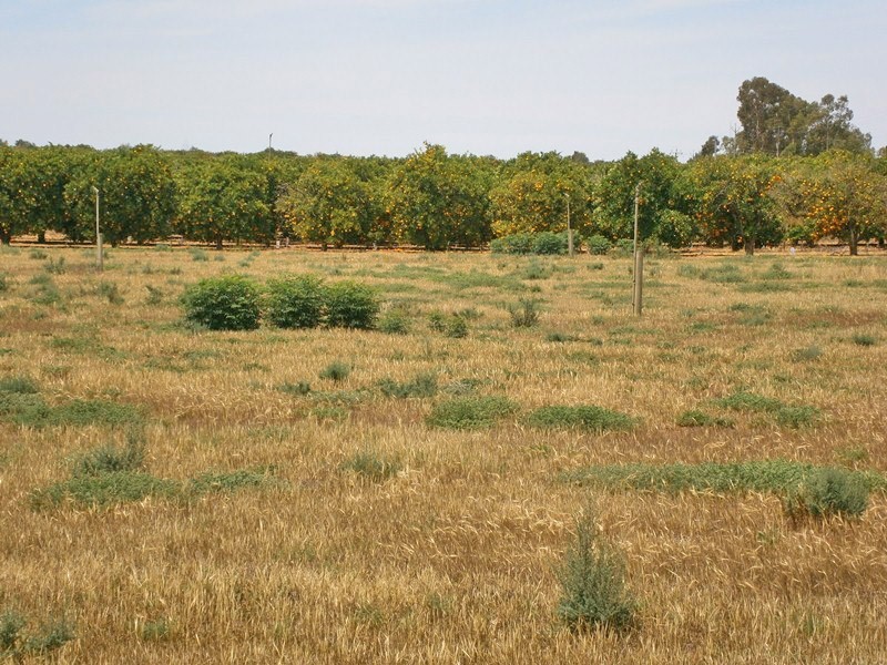 Lot 20 Playford Road, Sunlands SA 5322