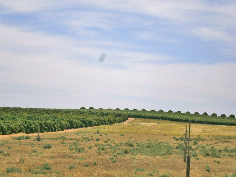 Lot 20 Playford Road, Sunlands SA 5322