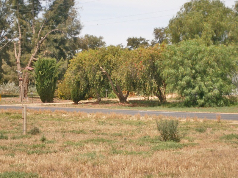 Lot 20 Playford Road, Sunlands SA 5322