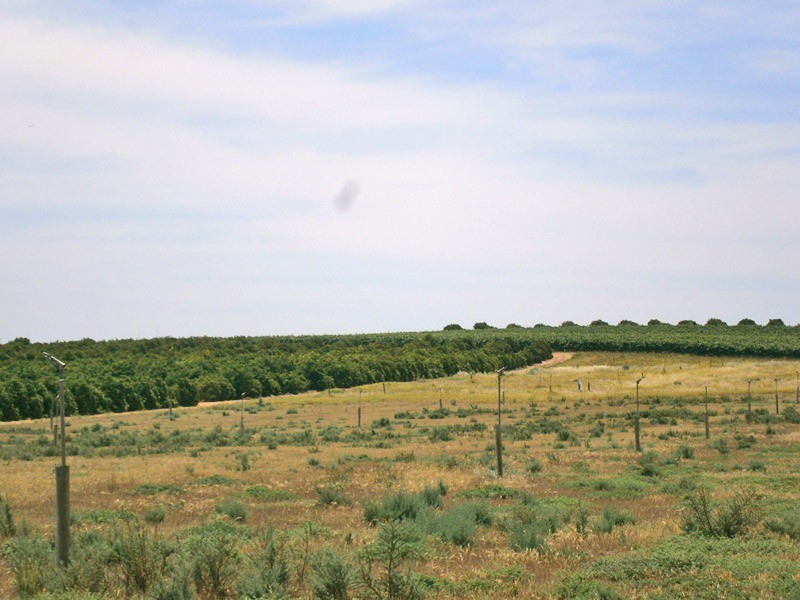 Lot 20 Playford Road, Sunlands SA 5322