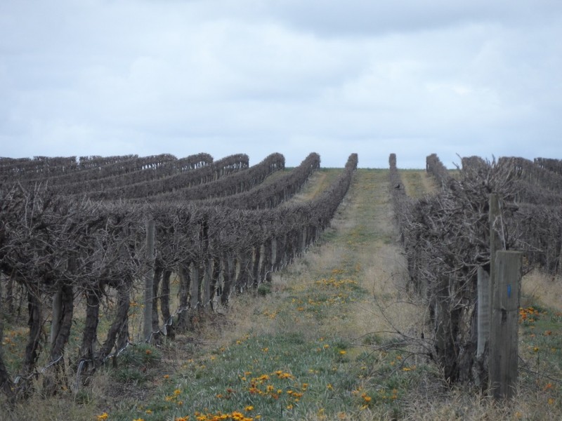 Sec 850 Gratwick Road, Loxton SA 5333