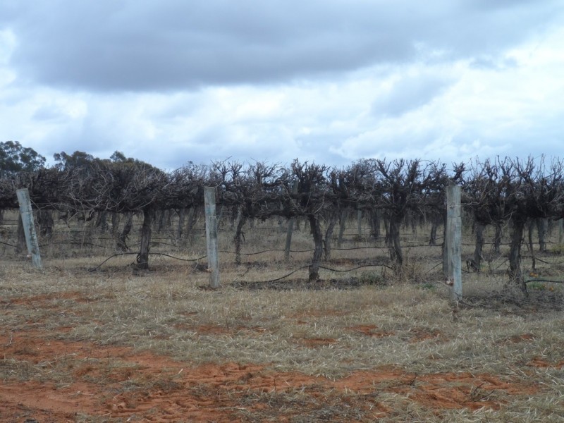 Sec 850 Gratwick Road, Loxton SA 5333