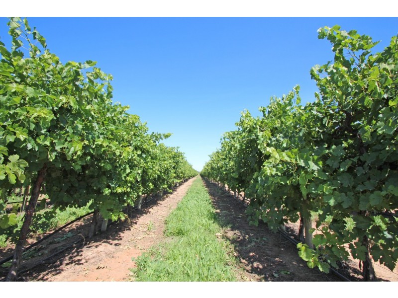 Lot 2 Kulkyne, Renmark SA 5341