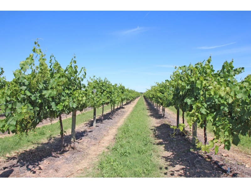 Lot 2 Kulkyne, Renmark SA 5341