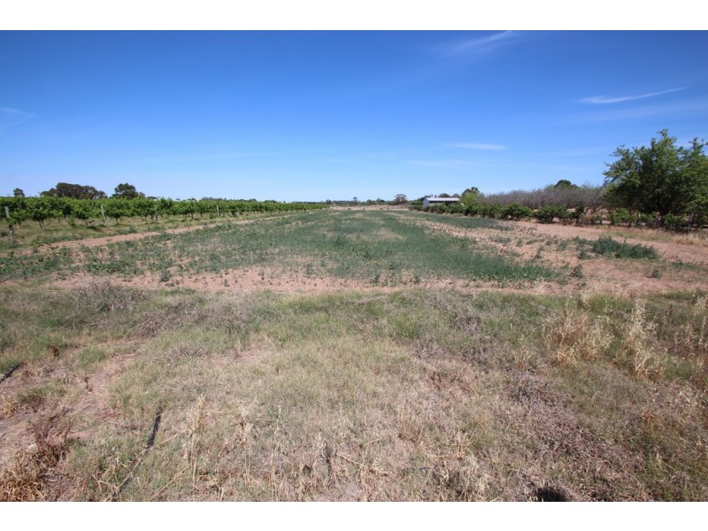 Lot 2 Kulkyne, Renmark SA 5341