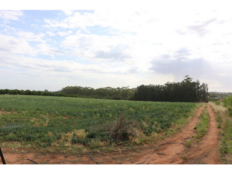 Lot 31 Dearman Road, Ramco SA 5322