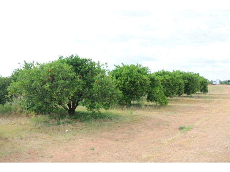 Lot 30 Rex Andrew Road, Ramco SA 5322