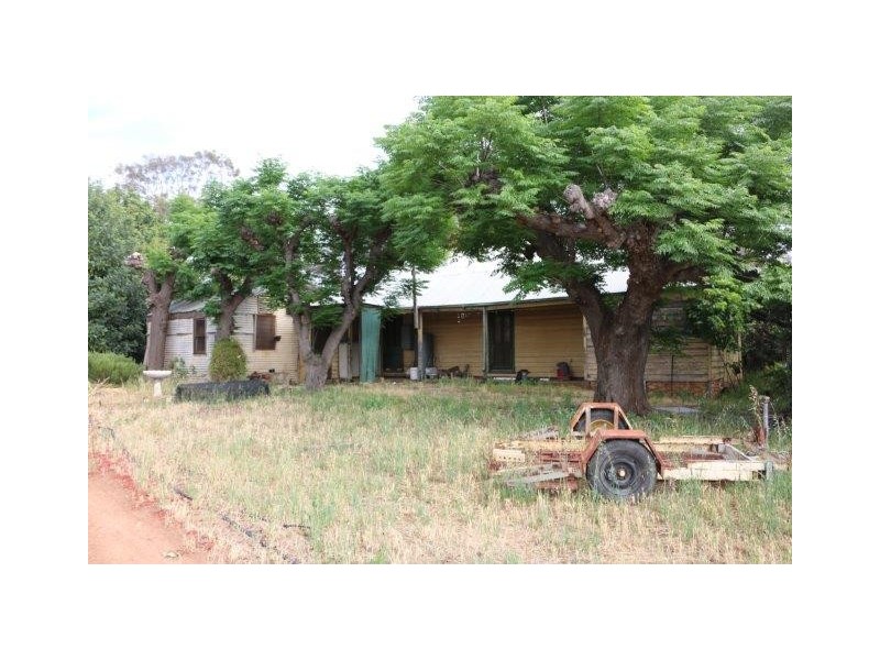 55 Balantyne Road, Waikerie SA 5330