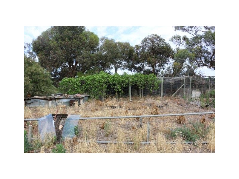 55 Balantyne Road, Waikerie SA 5330