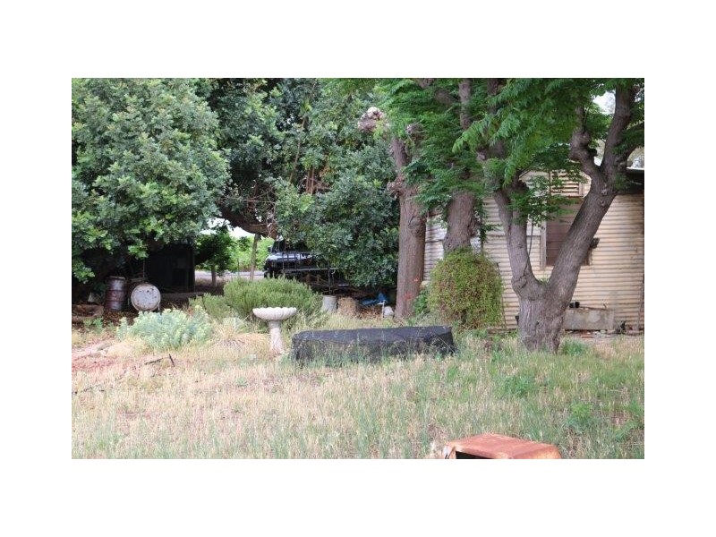 55 Balantyne Road, Waikerie SA 5330