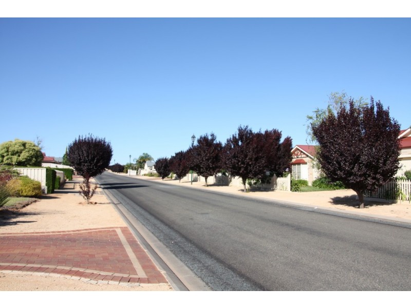 Allotment 101 Schaefer Drive, Loxton SA 5333