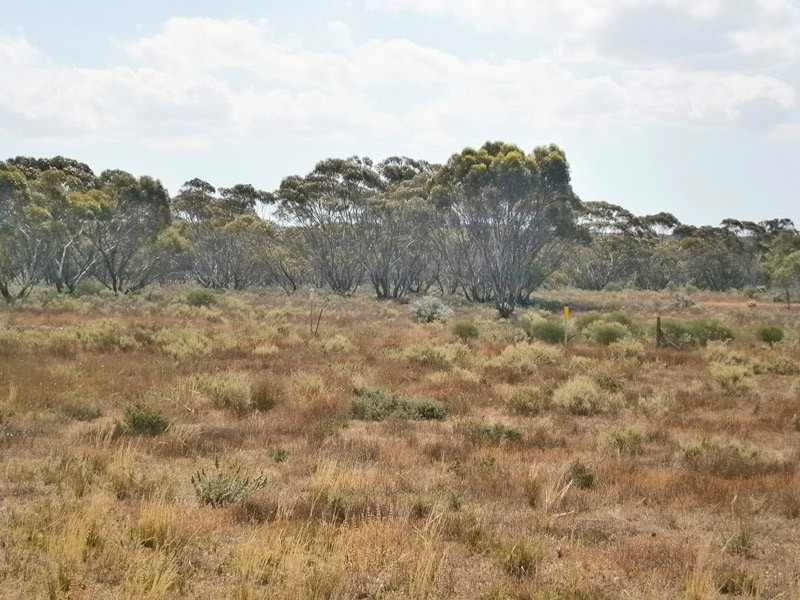 13 Sturt highway, Blanchetown SA 5357