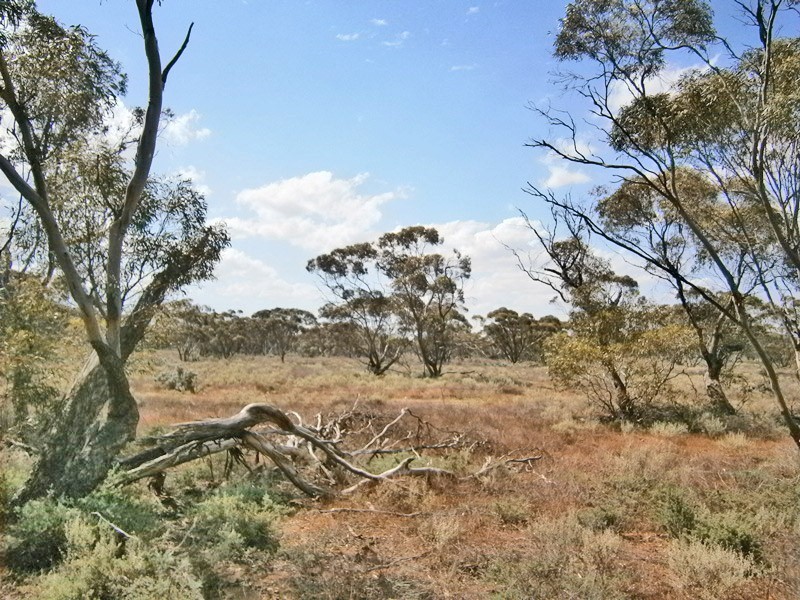 13 Sturt highway, Blanchetown SA 5357