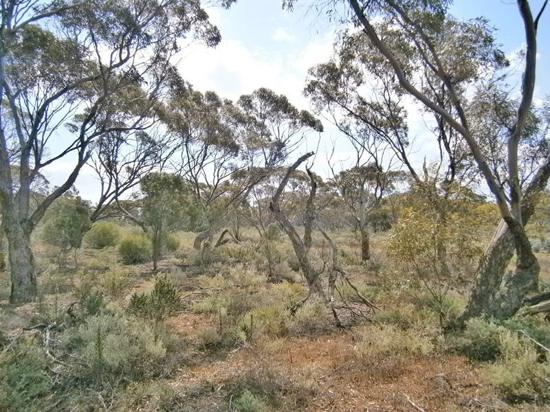 13 Sturt highway, Blanchetown SA 5357