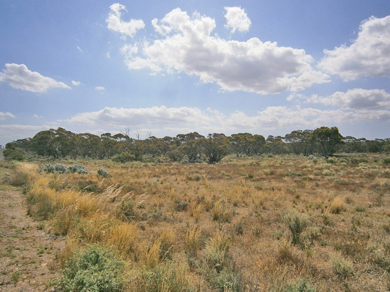 13 Sturt highway, Blanchetown SA 5357