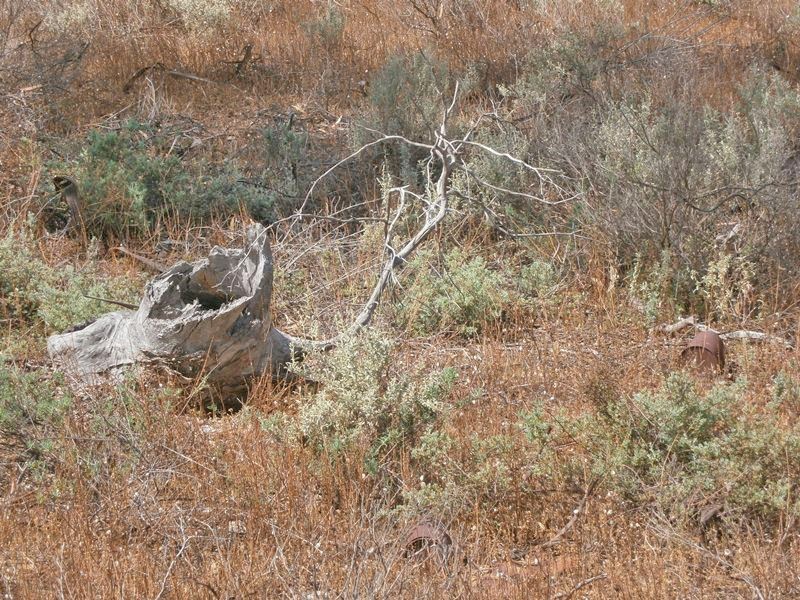 13 Sturt highway, Blanchetown SA 5357