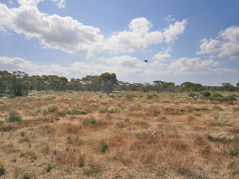 13 Sturt highway, Blanchetown SA 5357