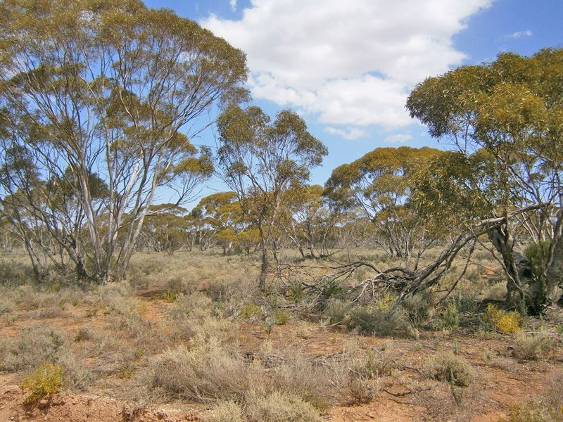 27 McKay Road, Blanchetown SA 5357