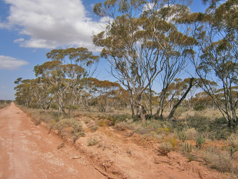 27 McKay Road, Blanchetown SA 5357