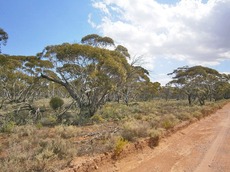 27 McKay Road, Blanchetown SA 5357