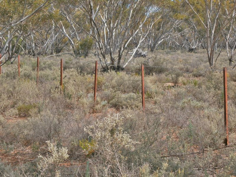 27 McKay Road, Blanchetown SA 5357